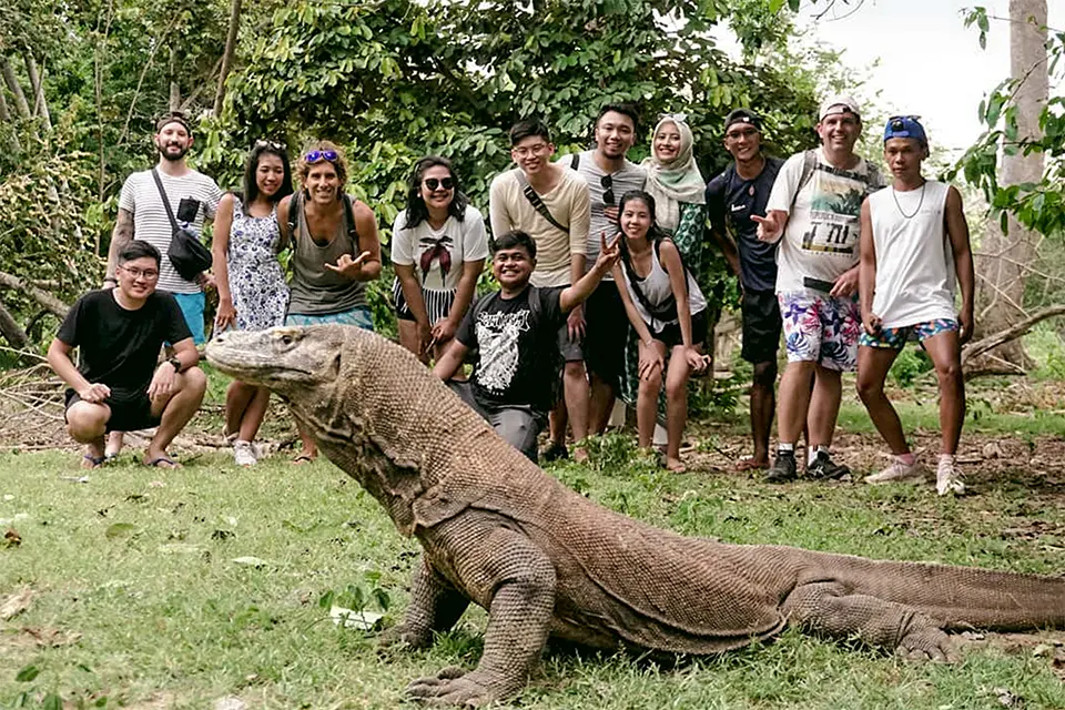 Tourists accompanied by a park ranger observing a Komodo dragon on Komodo Island