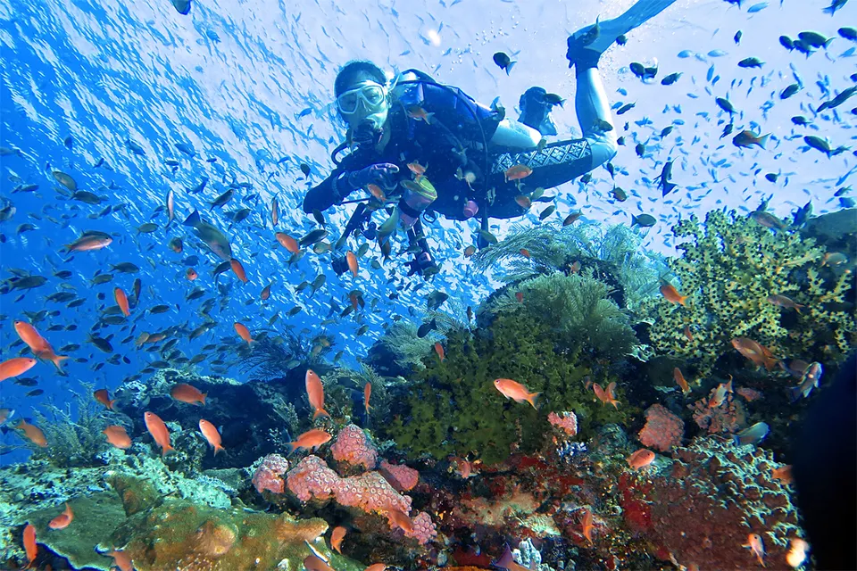 Snorkelers exploring coral reefs near Komodo Island in Indonesia