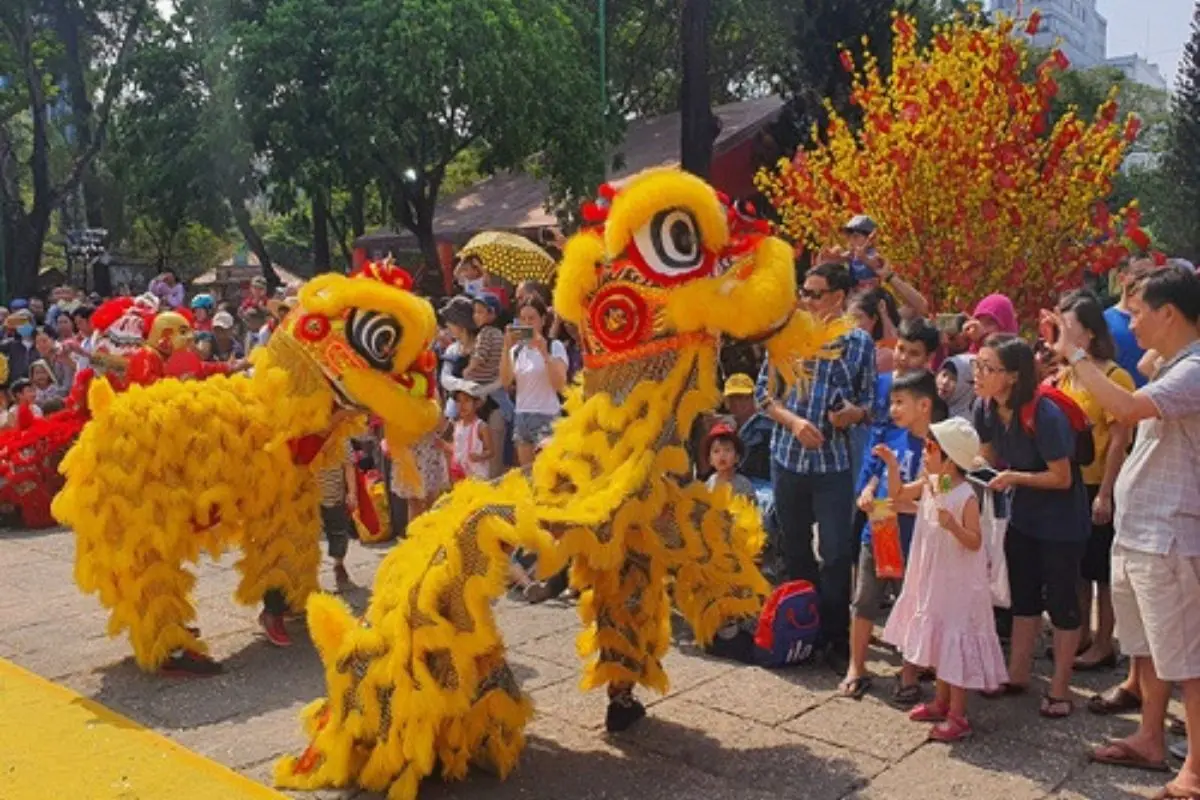 Traditional lion dance celebrating Vietnamese Tết