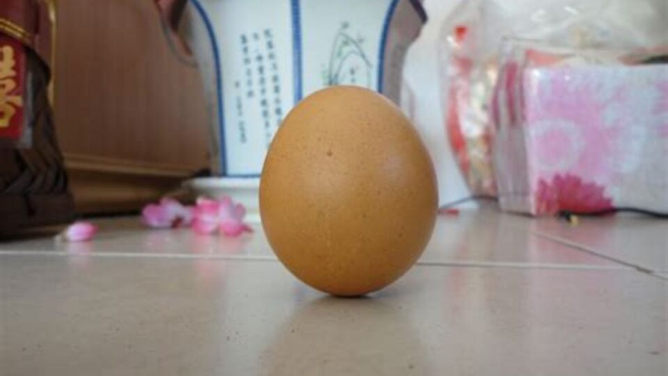 Close-up of a egg standing perfectly upright